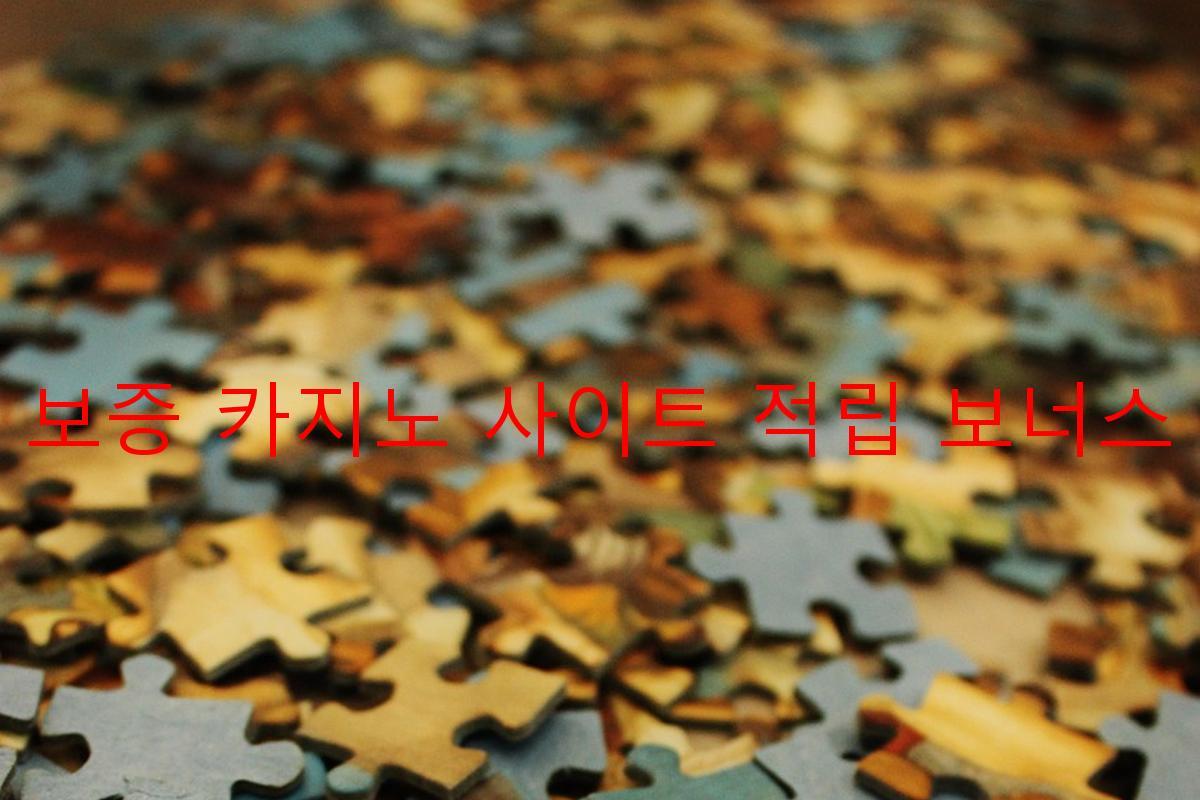 보증 카지노 사이트 적립 보너스