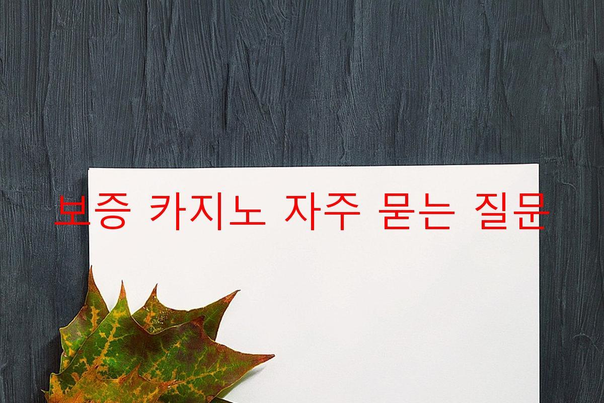 보증 카지노 자주 묻는 질문