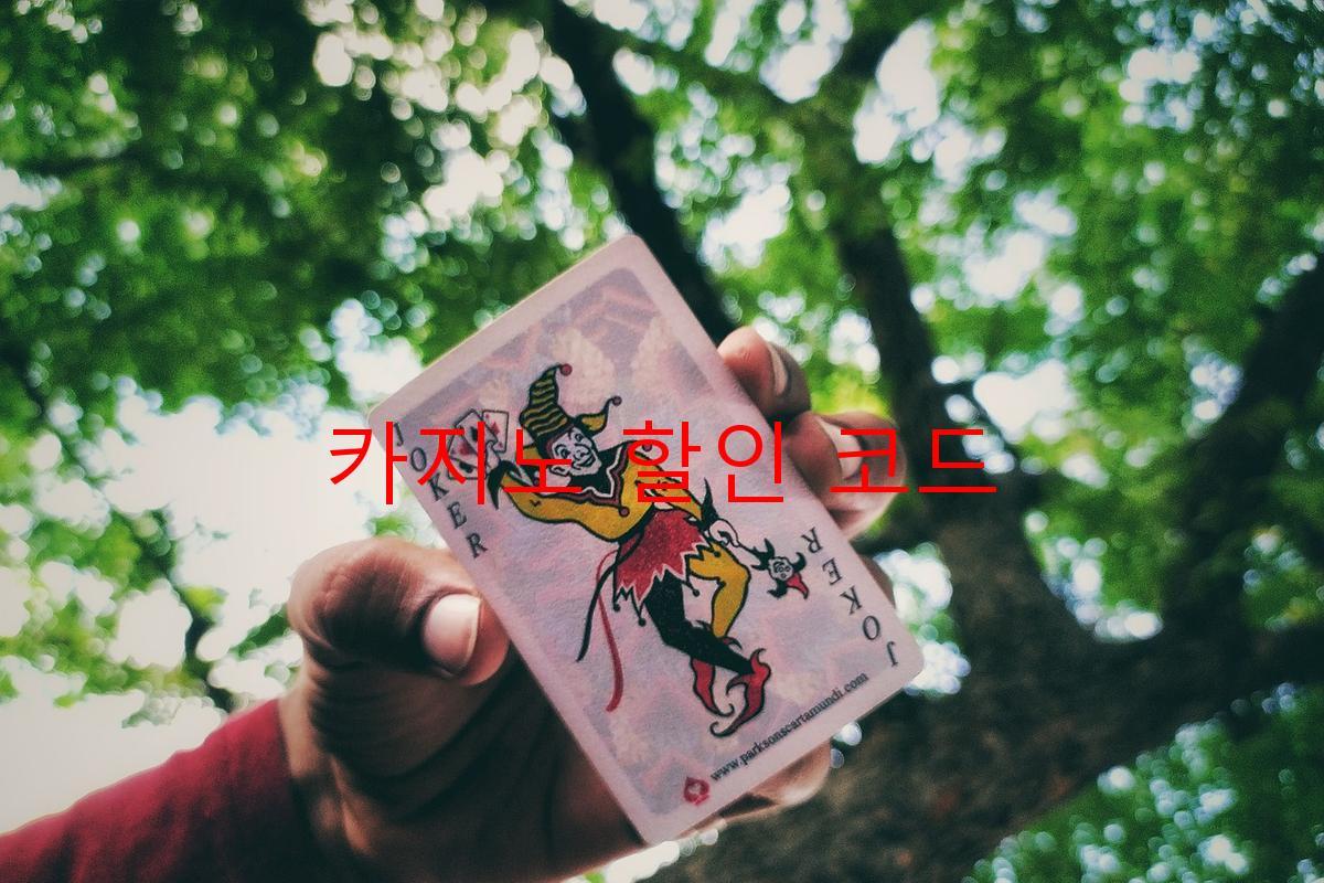카지노 할인 코드
