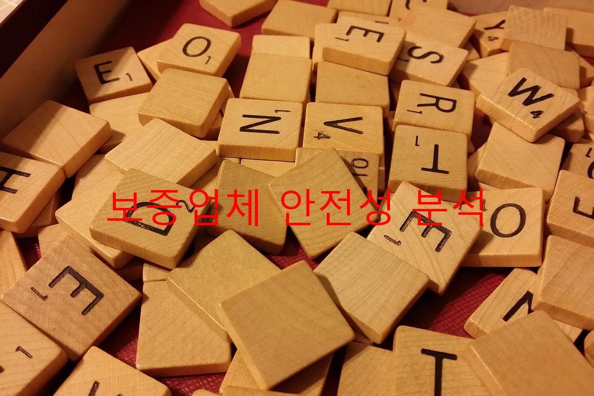 보증업체 안전성 분석