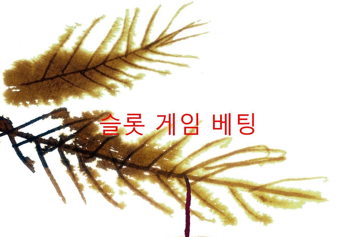 슬롯 게임 베팅