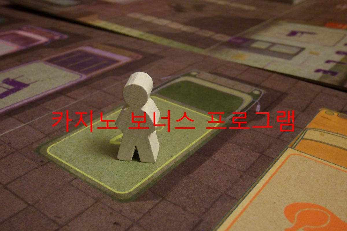 카지노 보너스 프로그램