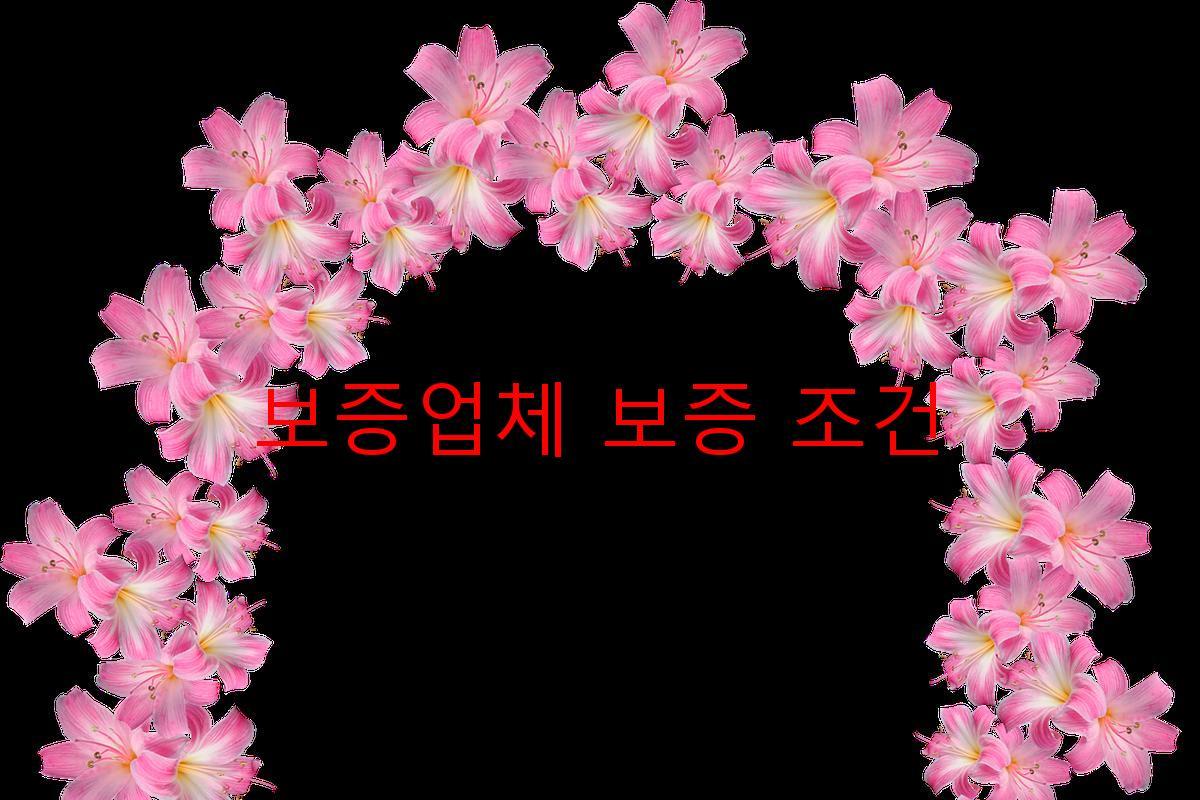 보증업체 보증 조건