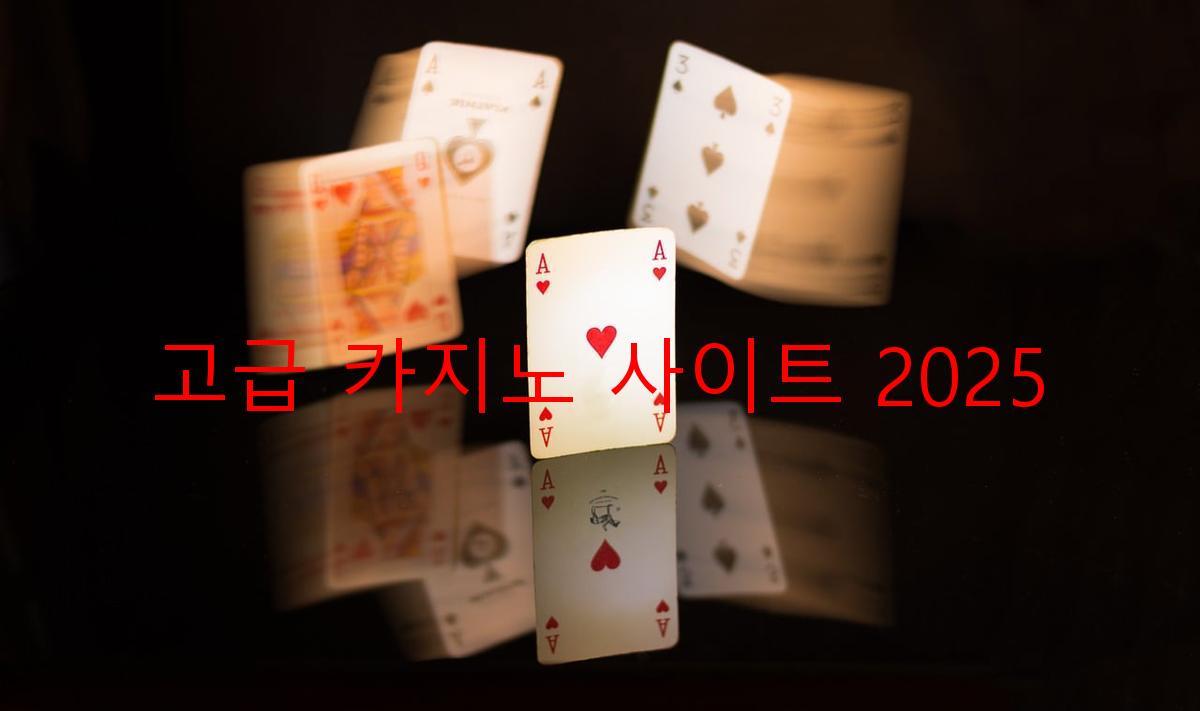 고급 카지노 사이트 2025