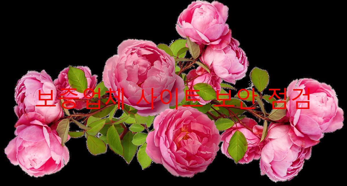 보증업체 사이트 보안 점검