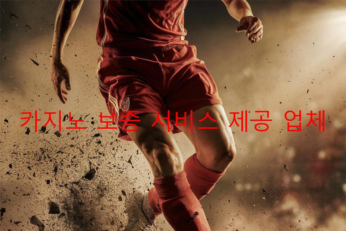 카지노 보증 서비스 제공 업체