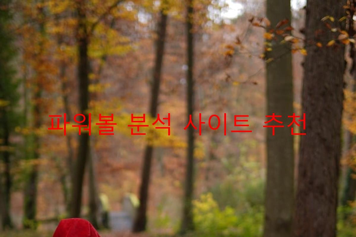 파워볼 분석 사이트 추천