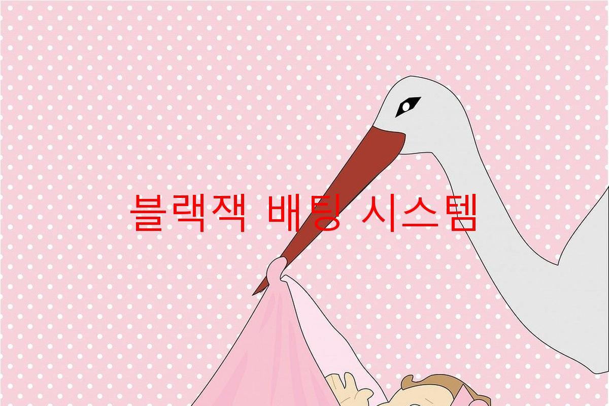 블랙잭 배팅 시스템