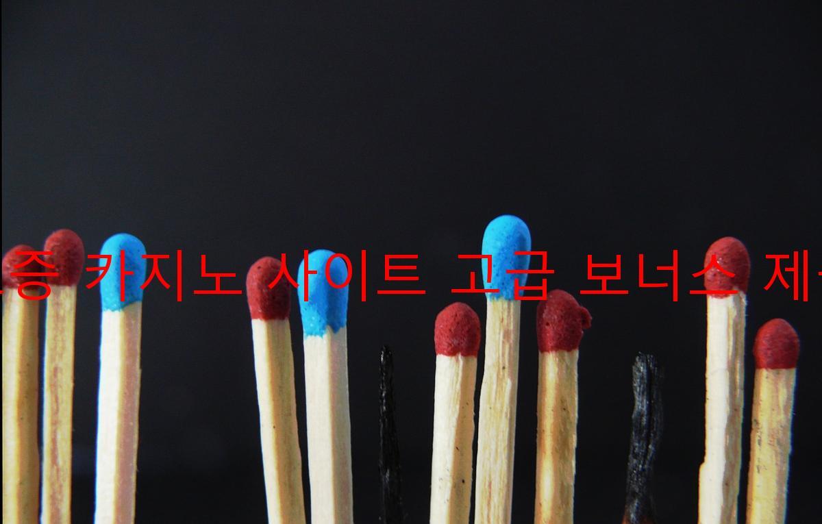 보증 카지노 사이트 고급 보너스 제공