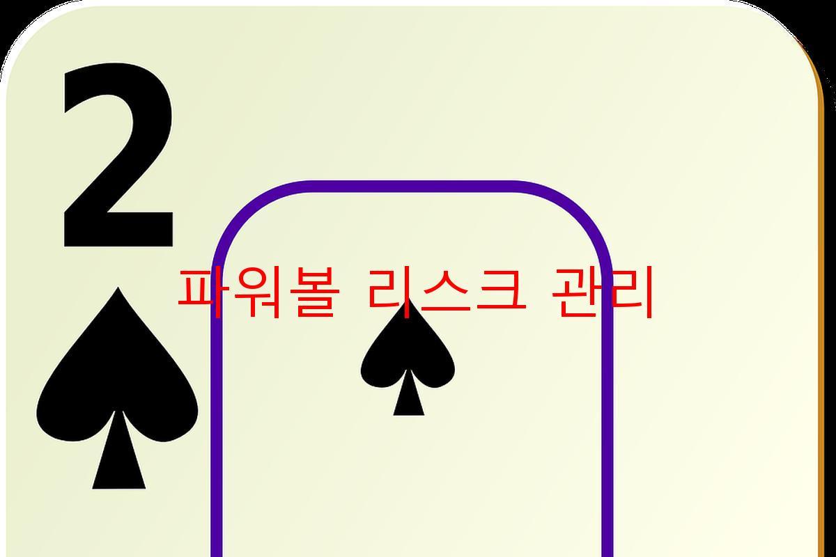 파워볼 리스크 관리