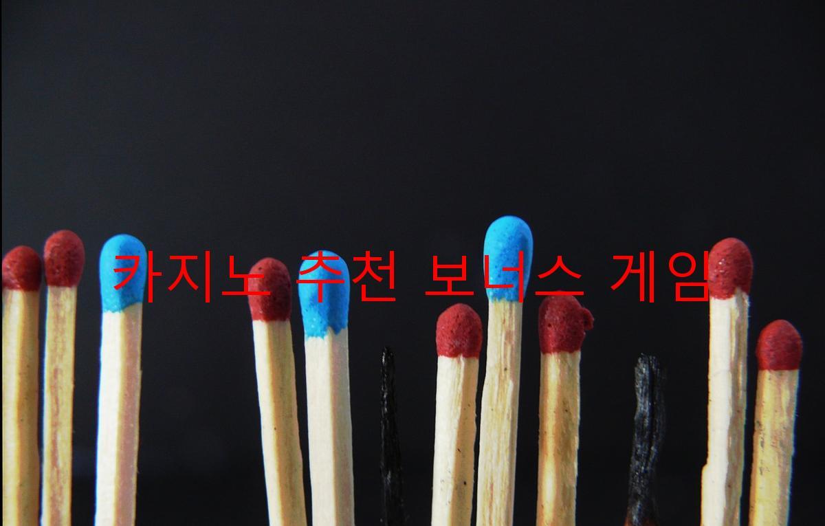 카지노 추천 보너스 게임