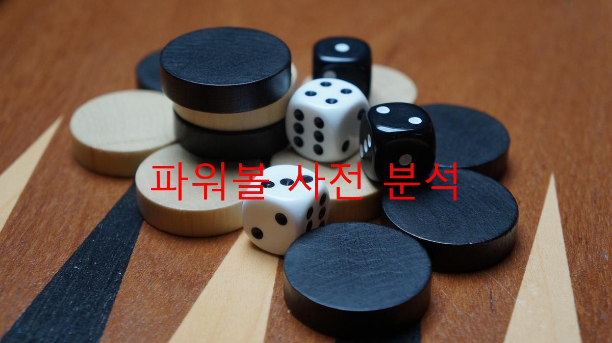 파워볼 사전 분석