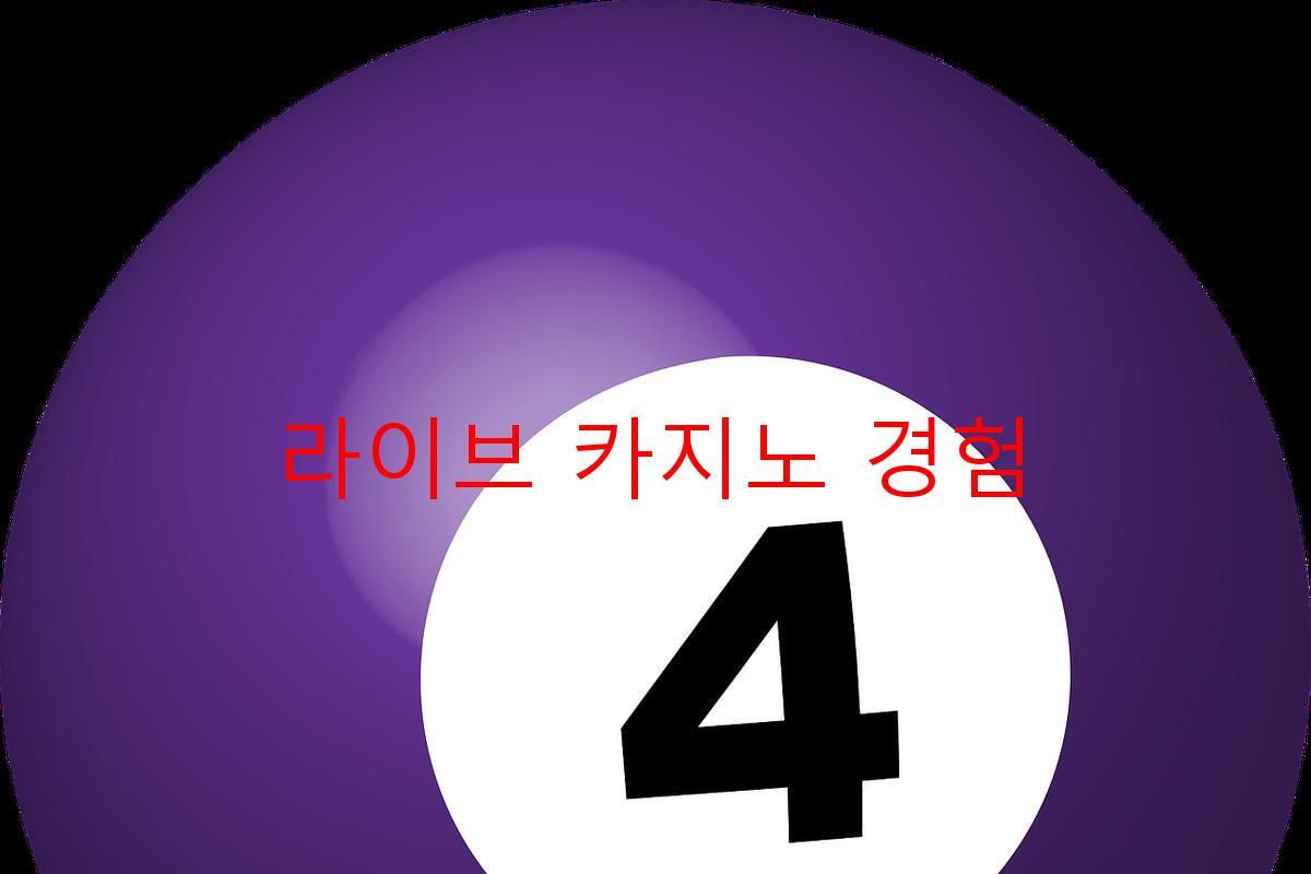 라이브 카지노 경험