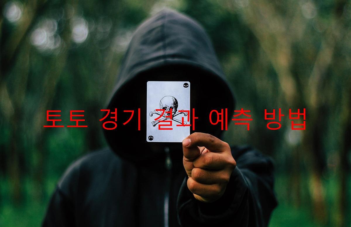 토토 경기 결과 예측 방법