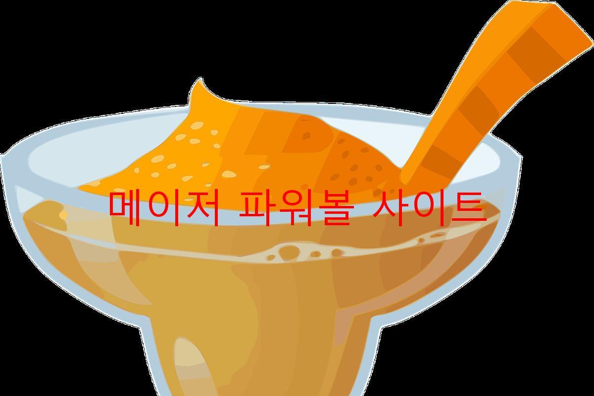 메이저 파워볼 사이트