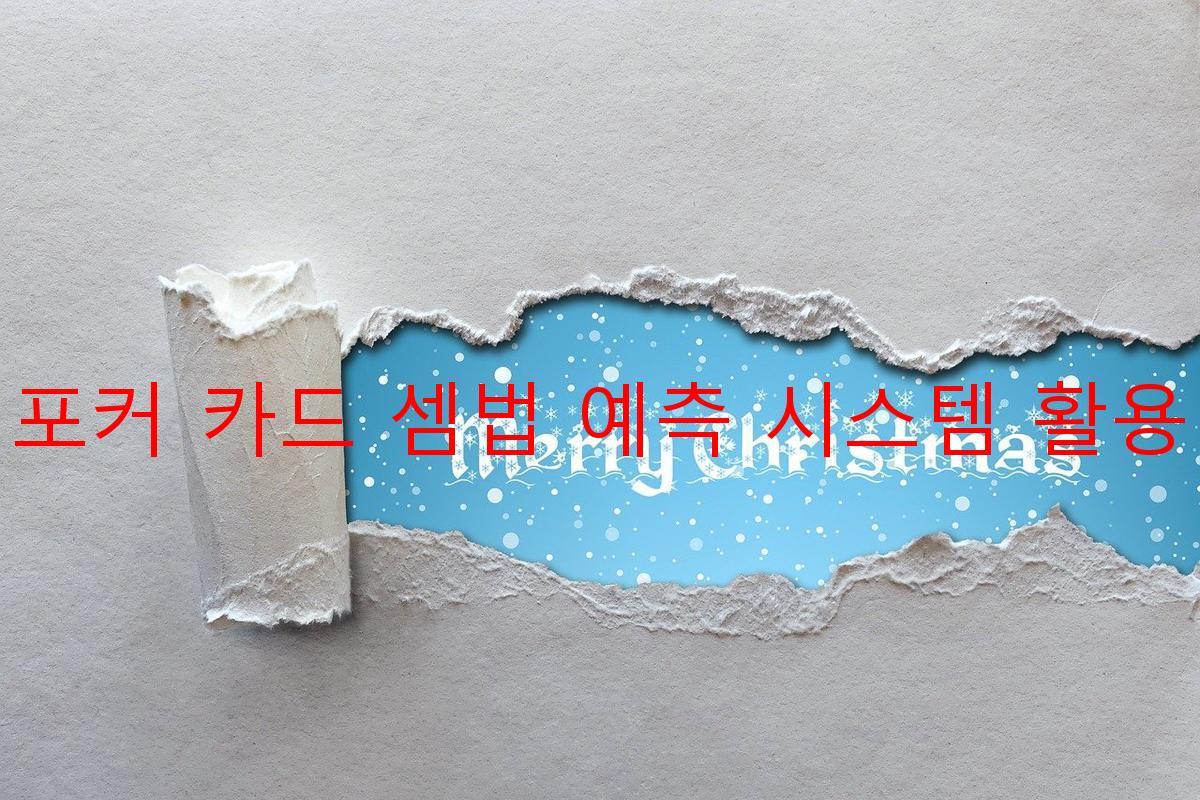 포커 카드 셈법 예측 시스템 활용