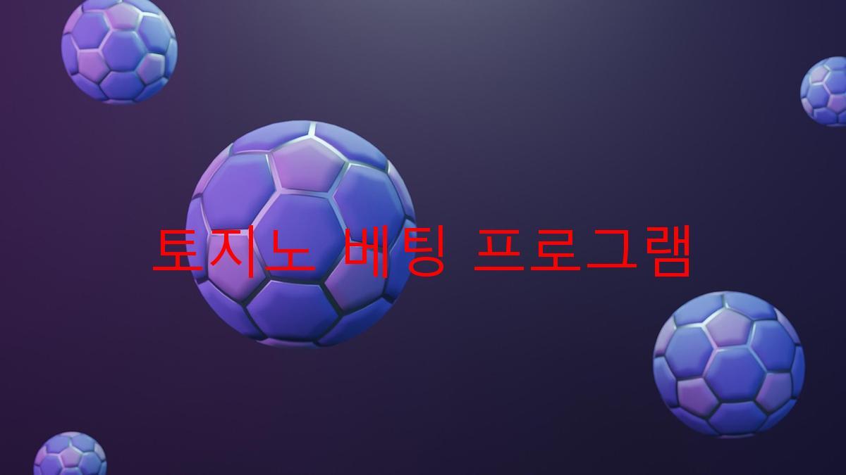 토지노 베팅 프로그램