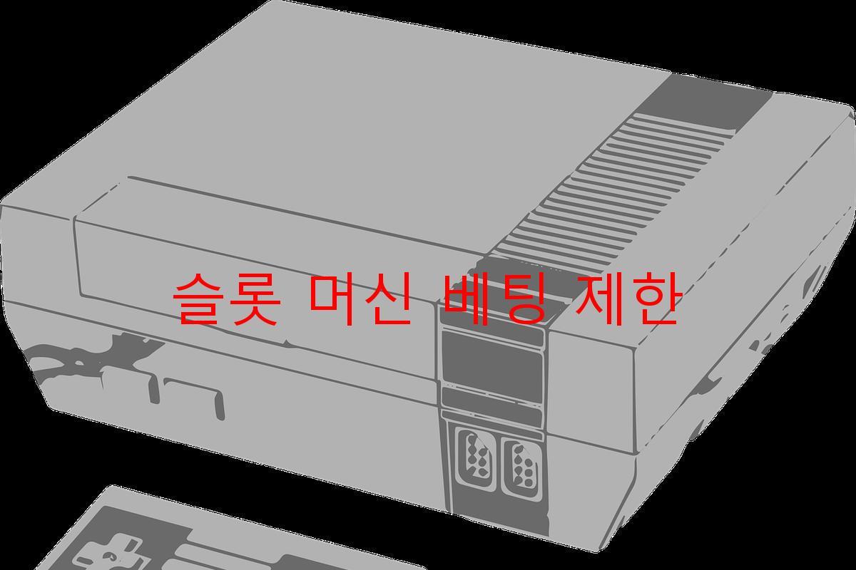 슬롯 머신 베팅 제한