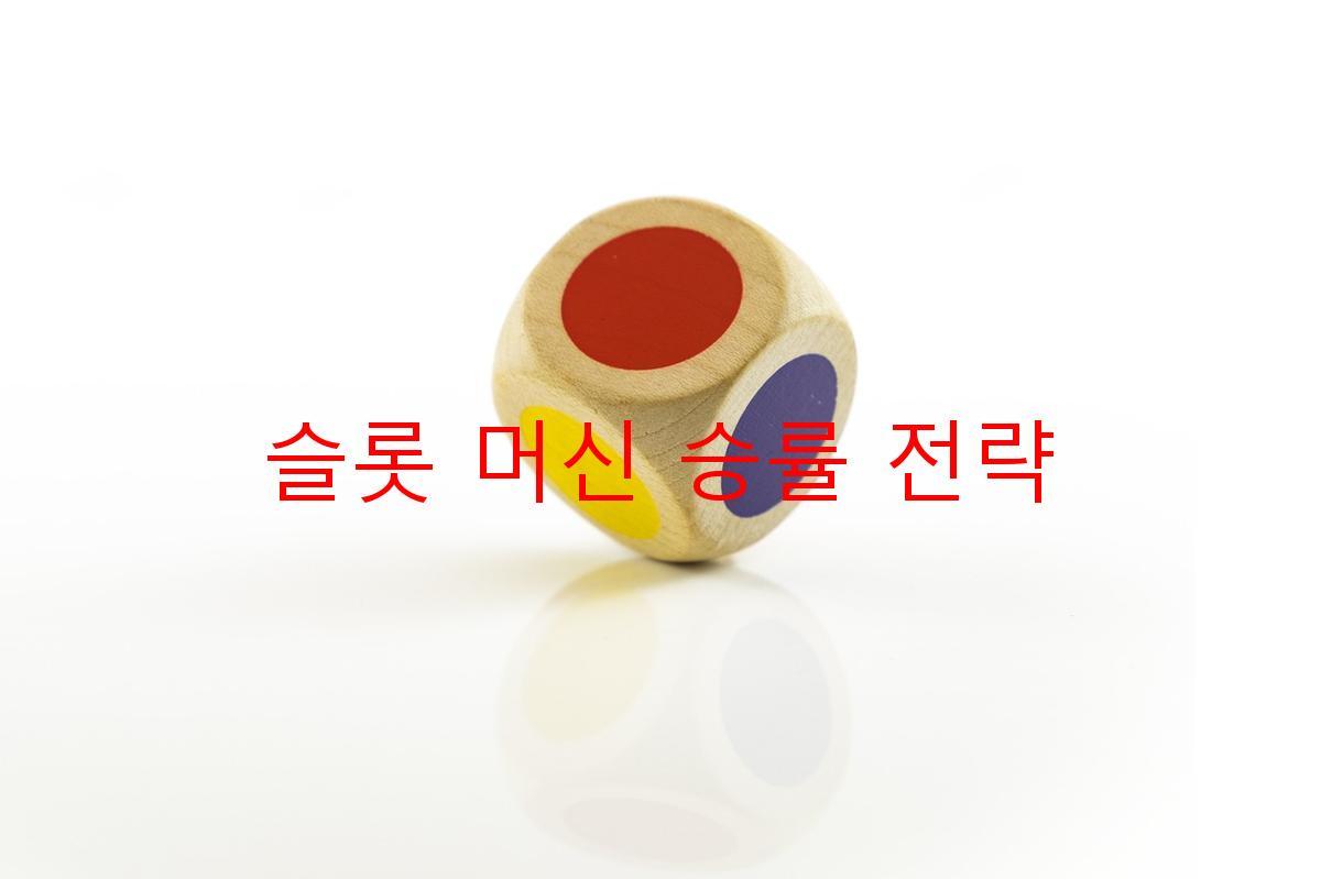 슬롯 머신 승률 전략