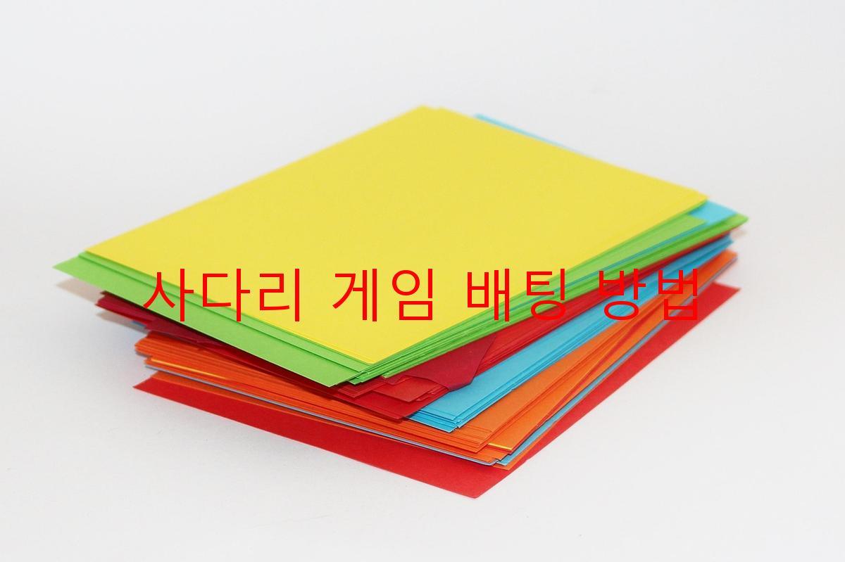 사다리 게임 배팅 방법