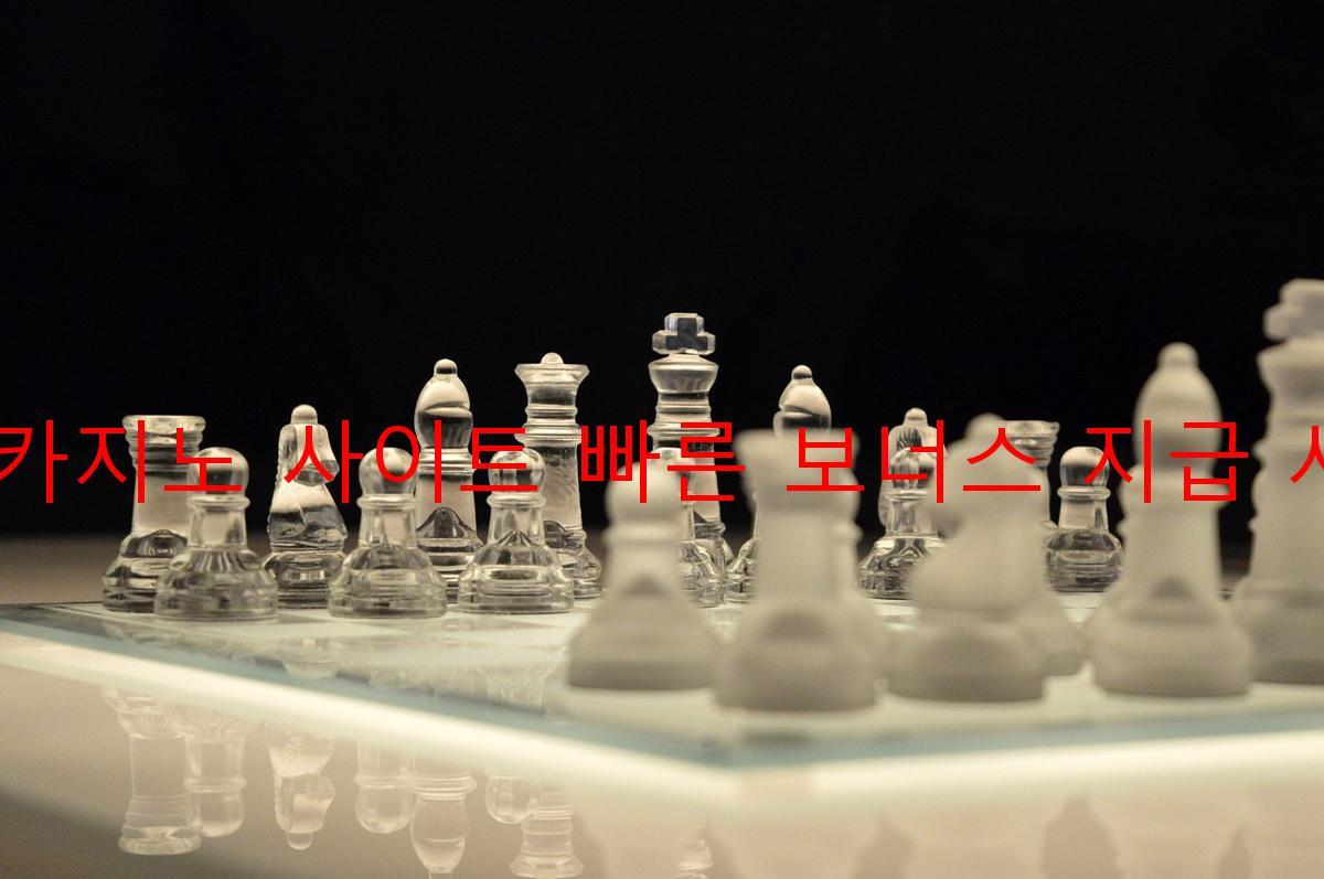 보증 카지노 사이트 빠른 보너스 지급 시스템