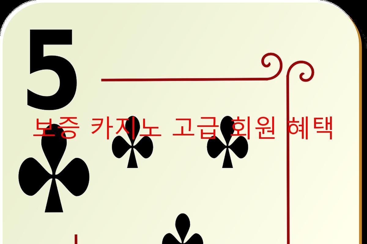 보증 카지노 고급 회원 혜택