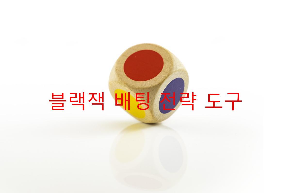 블랙잭 배팅 전략 도구