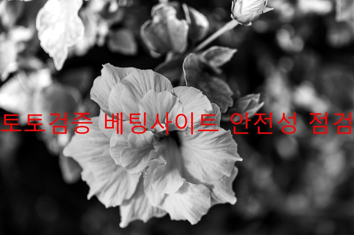토토검증 베팅사이트 안전성 점검