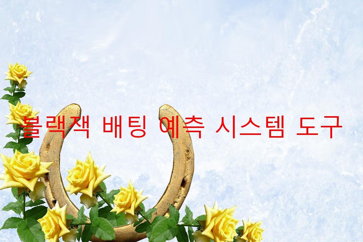 블랙잭 배팅 예측 시스템 도구