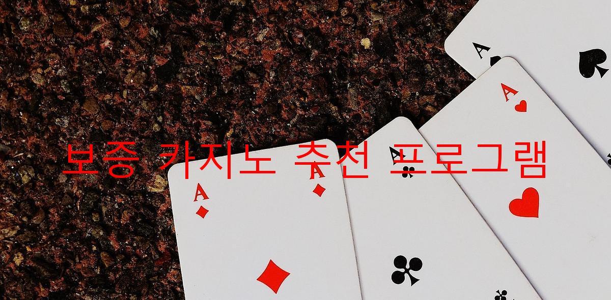 보증 카지노 추천 프로그램