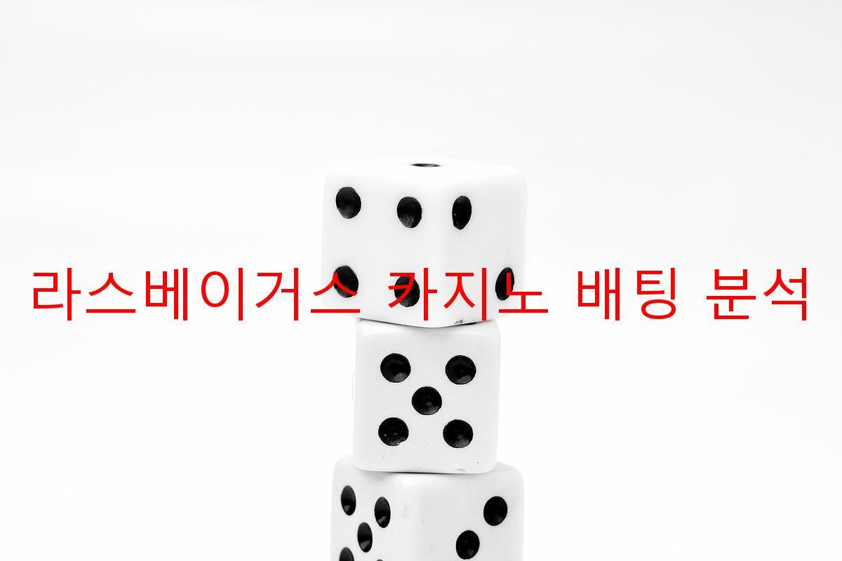 라스베이거스 카지노 배팅 분석