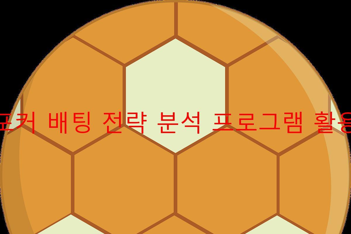 포커 배팅 전략 분석 프로그램 활용