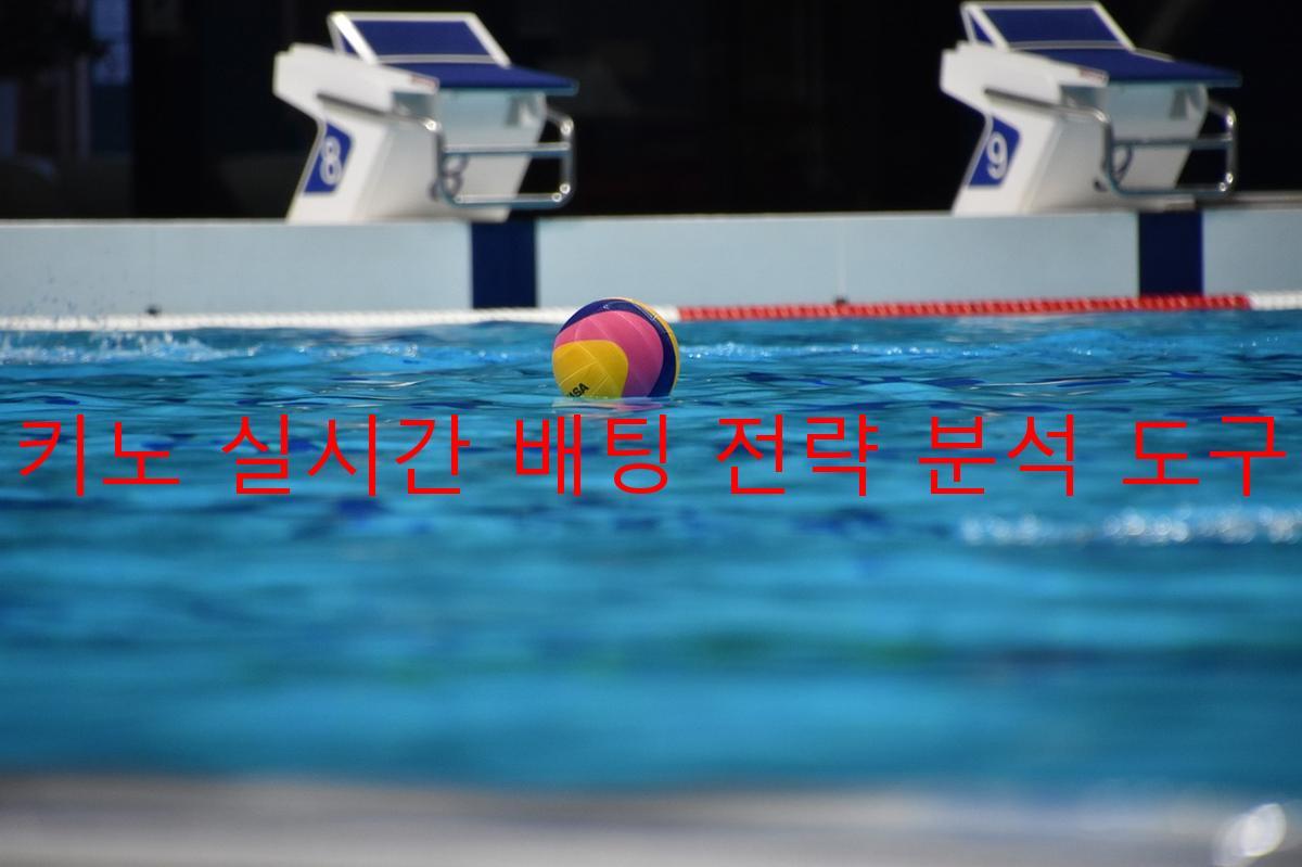 키노 실시간 배팅 전략 분석 도구