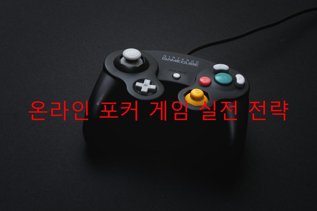 온라인 포커 게임 실전 전략