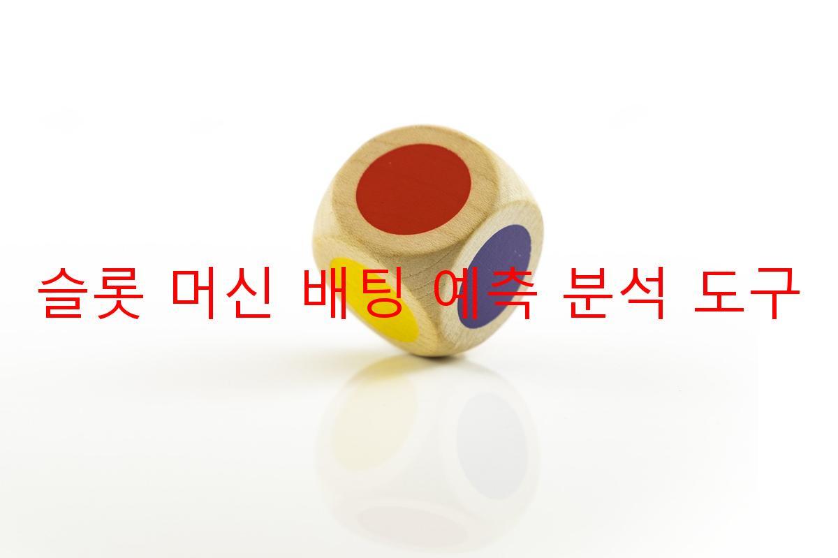 슬롯 머신 배팅 예측 분석 도구