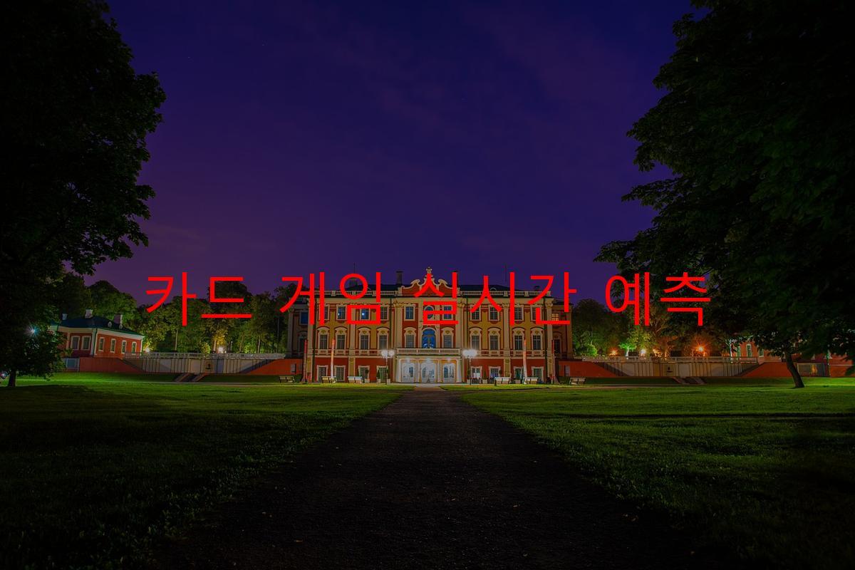 카드 게임 실시간 예측