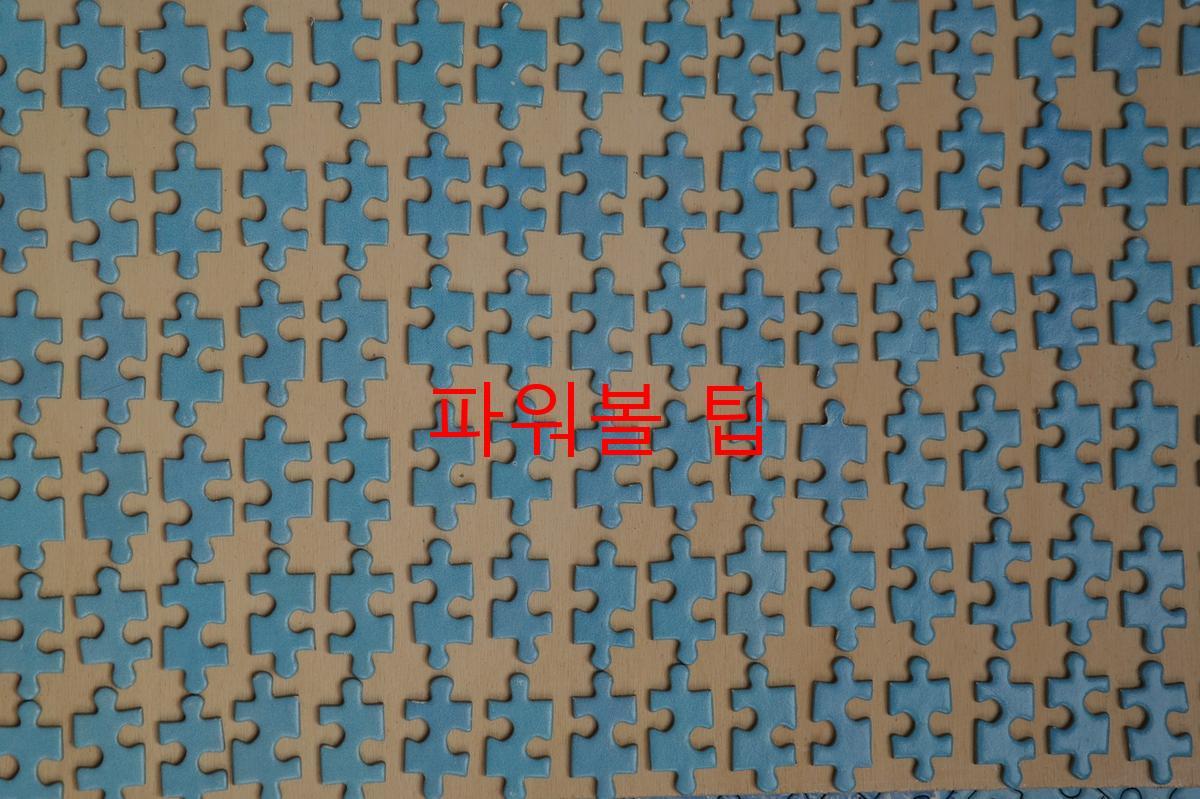 파워볼 팁