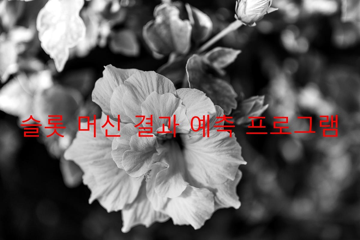 슬롯 머신 결과 예측 프로그램