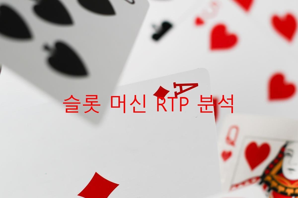 슬롯 머신 RTP 분석