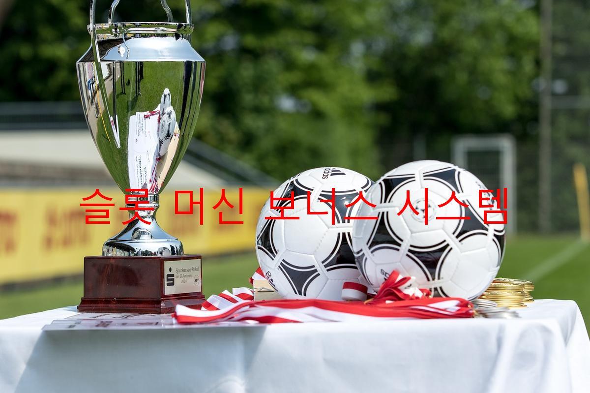 슬롯 머신 보너스 시스템
