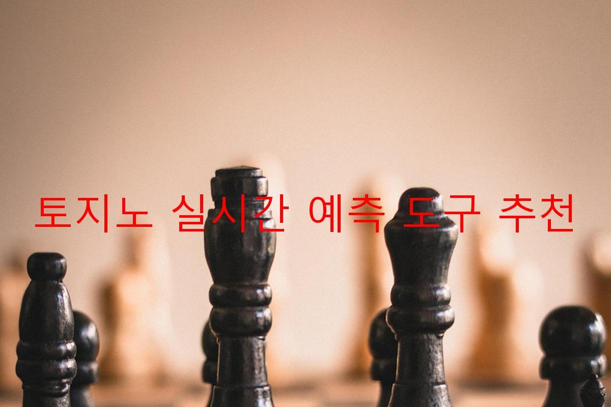 토지노 실시간 예측 도구 추천