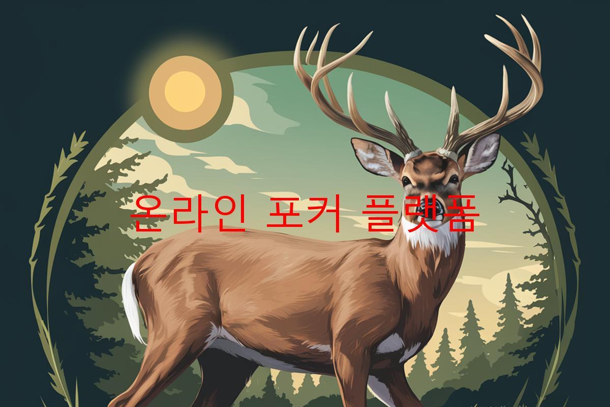 온라인 포커 플랫폼