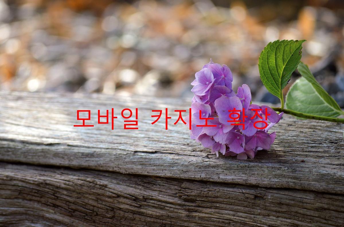 모바일 카지노 확장