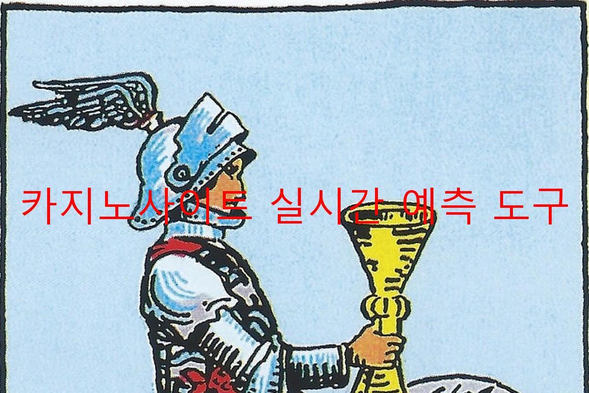 카지노사이트 실시간 예측 도구