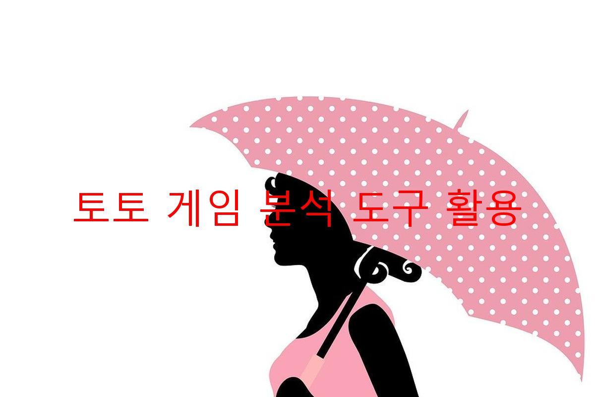 토토 게임 분석 도구 활용