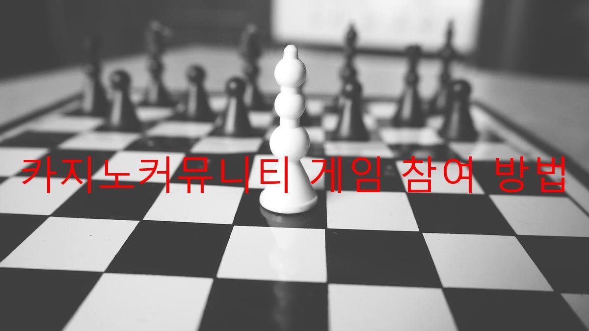 카지노커뮤니티 게임 참여 방법