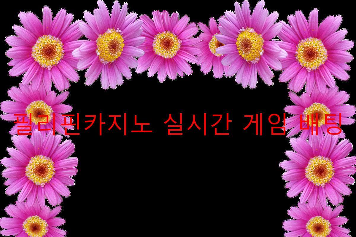 필리핀카지노 실시간 게임 배팅