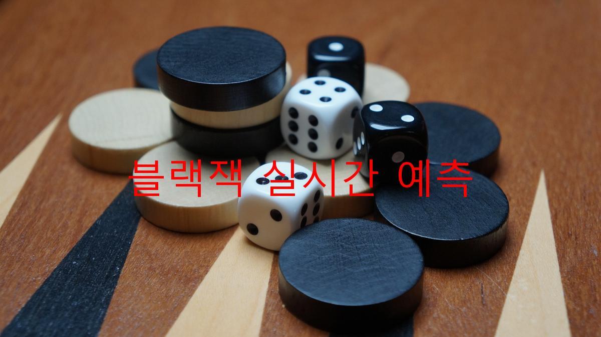 블랙잭 실시간 예측