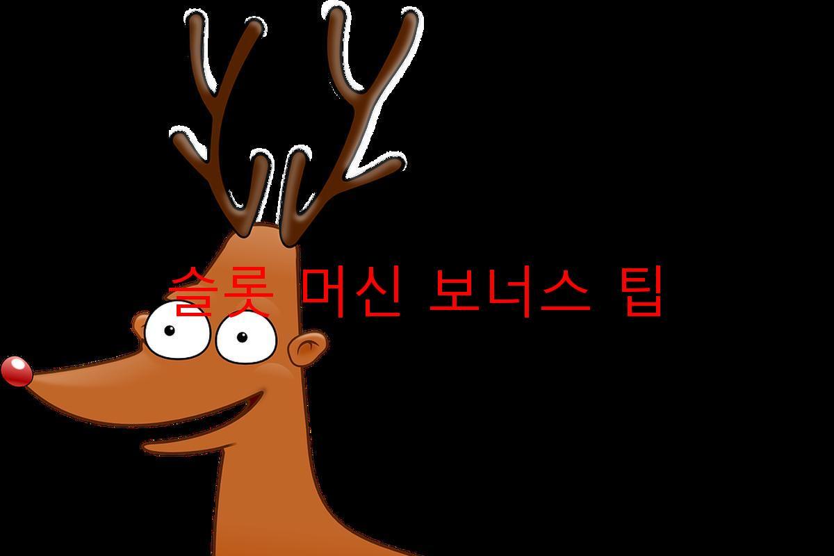 슬롯 머신 보너스 팁