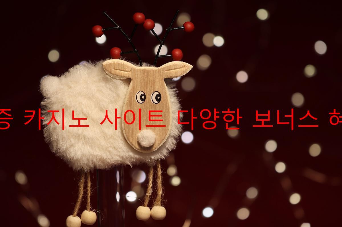 보증 카지노 사이트 다양한 보너스 혜택